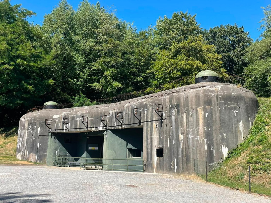 Maginot Line Fort Schoenenbourg-Hunspach必去景点