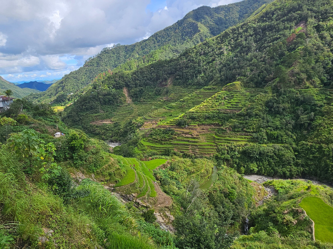 巴拿威梯田-Banaue必去景点