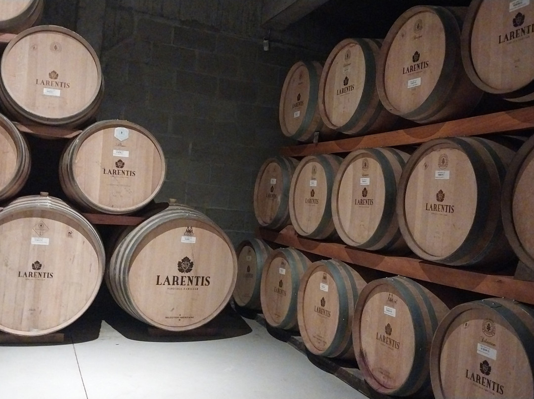 Vinhos Larentis-本图贡萨尔维斯必去景点