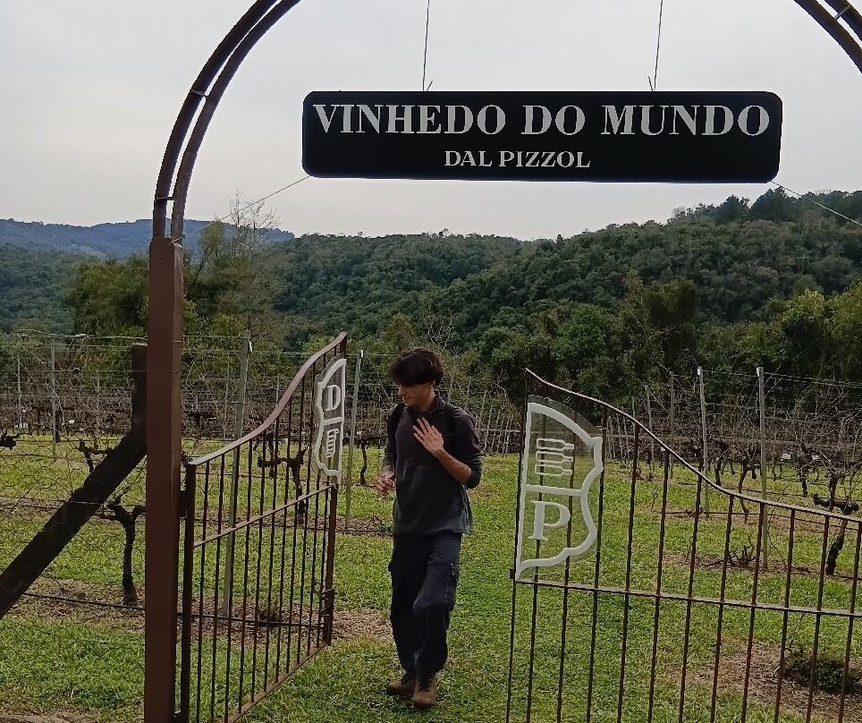Dal Pizzol Vinhos Únicos-本图贡萨尔维斯必去景点