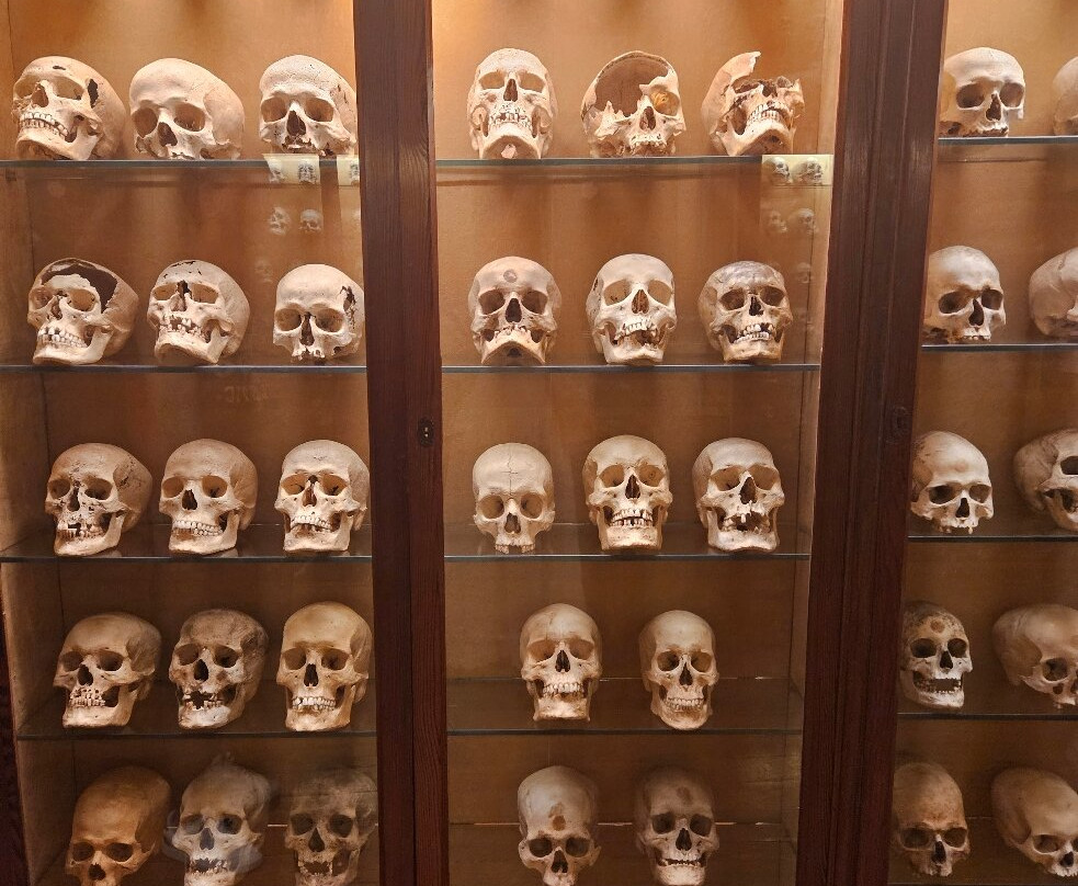 El Museo Canario-大加那利岛拉斯帕尔马斯必去景点