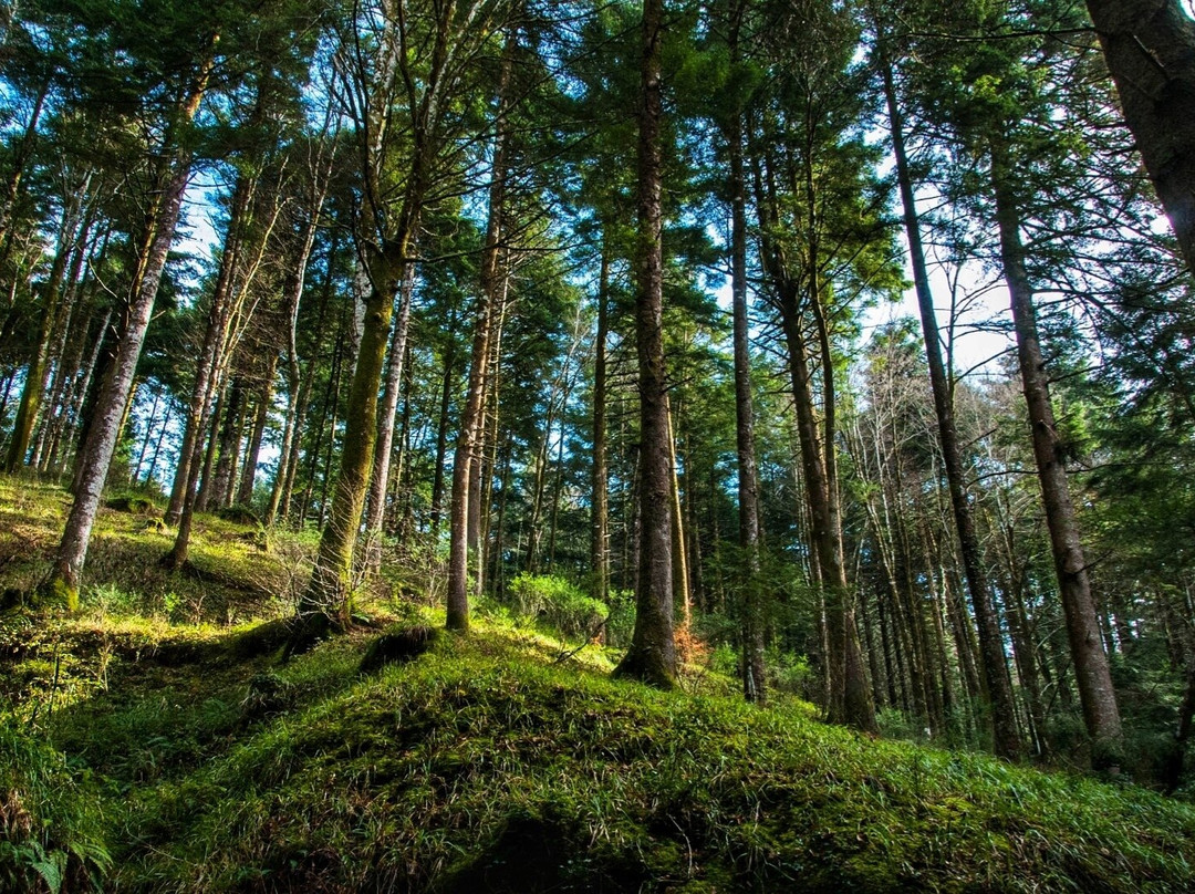 Parco Naturale Regionale delle Serre-Serra San Bruno必去景点