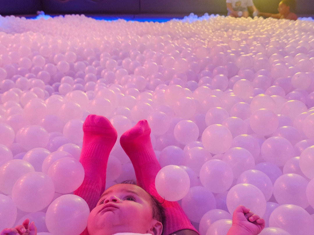 Dopamine Land: A Multisensory Experience-帕拉默斯必去景点