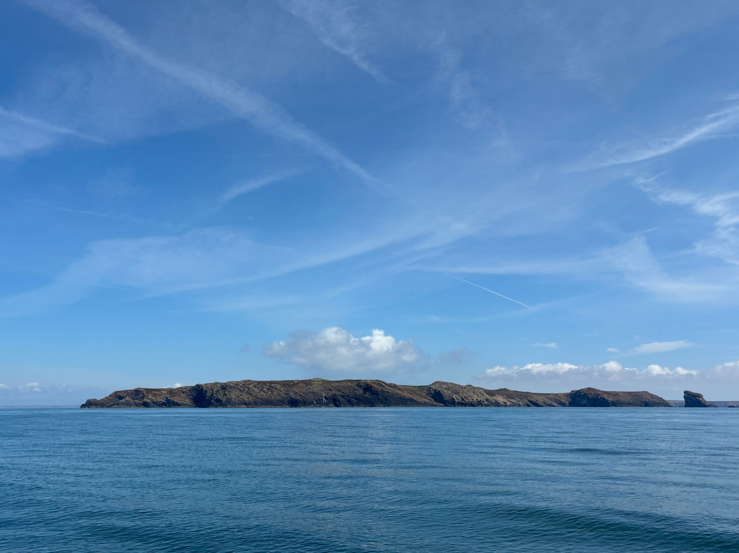 Pembrokeshire Islands Boat Trips-Skomer Island必去景点