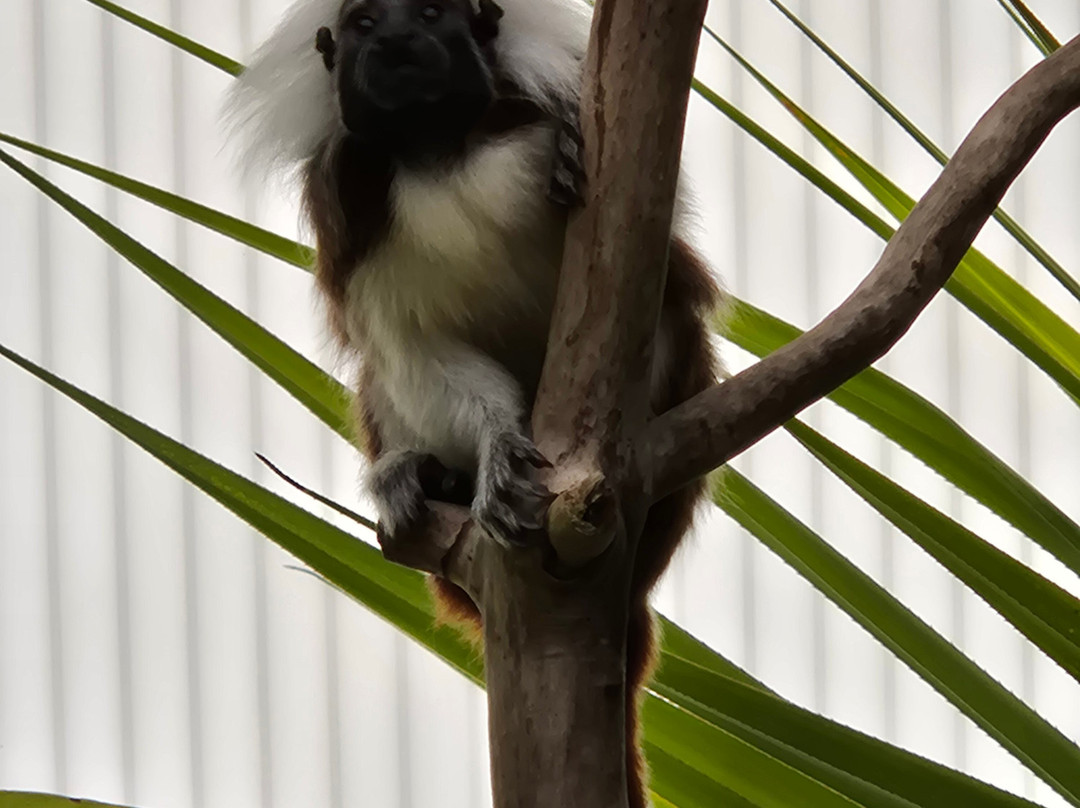 Krokodille Zoo-Eskilstrup必去景点