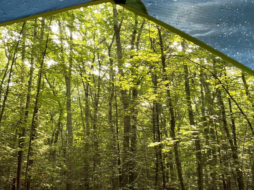 Pawtuckaway State Park-Nottingham必去景点