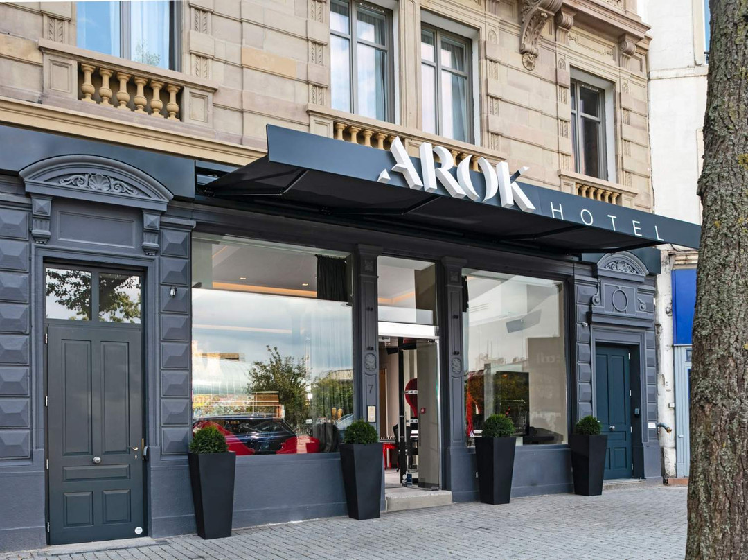 斯特拉斯堡酒店住宿-Arok Hotel