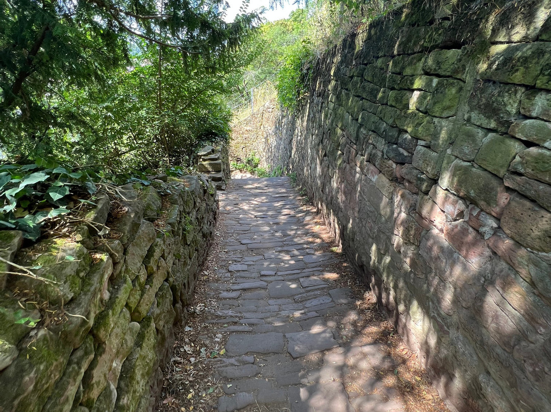 哲学家之路徒步游-海德尔堡必去景点