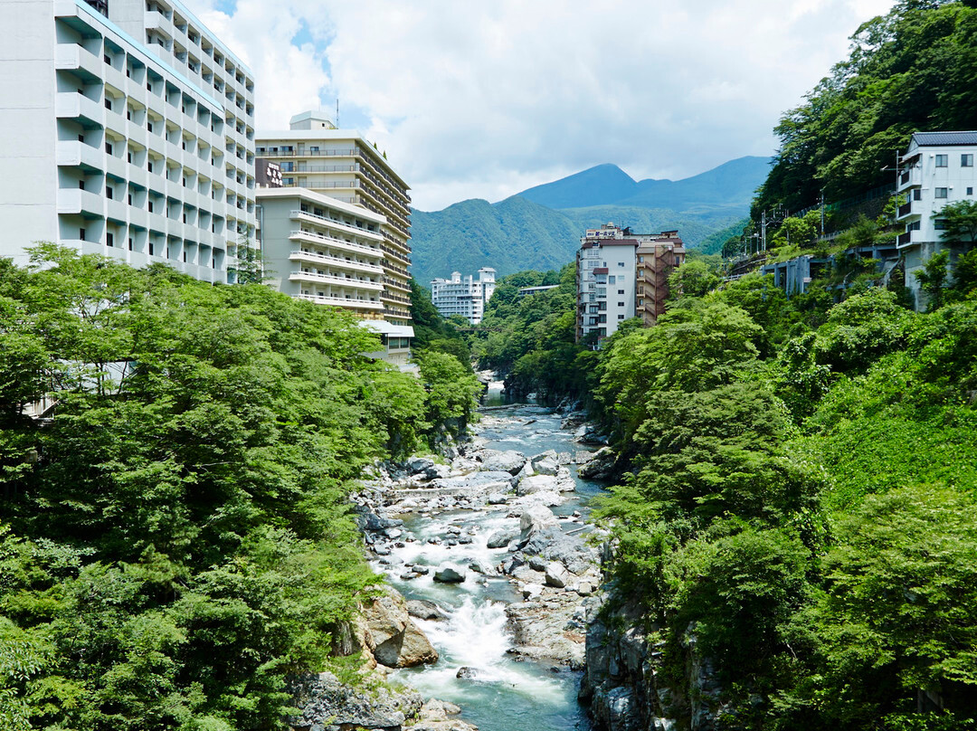 日光市酒店住宿-鬼怒川温泉酒店