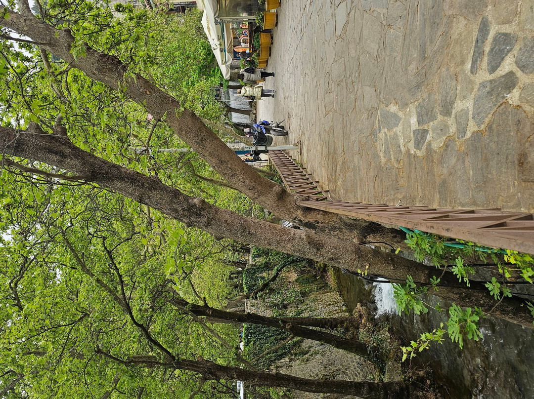 Kryas Livadeia Springs-Livadia必去景点