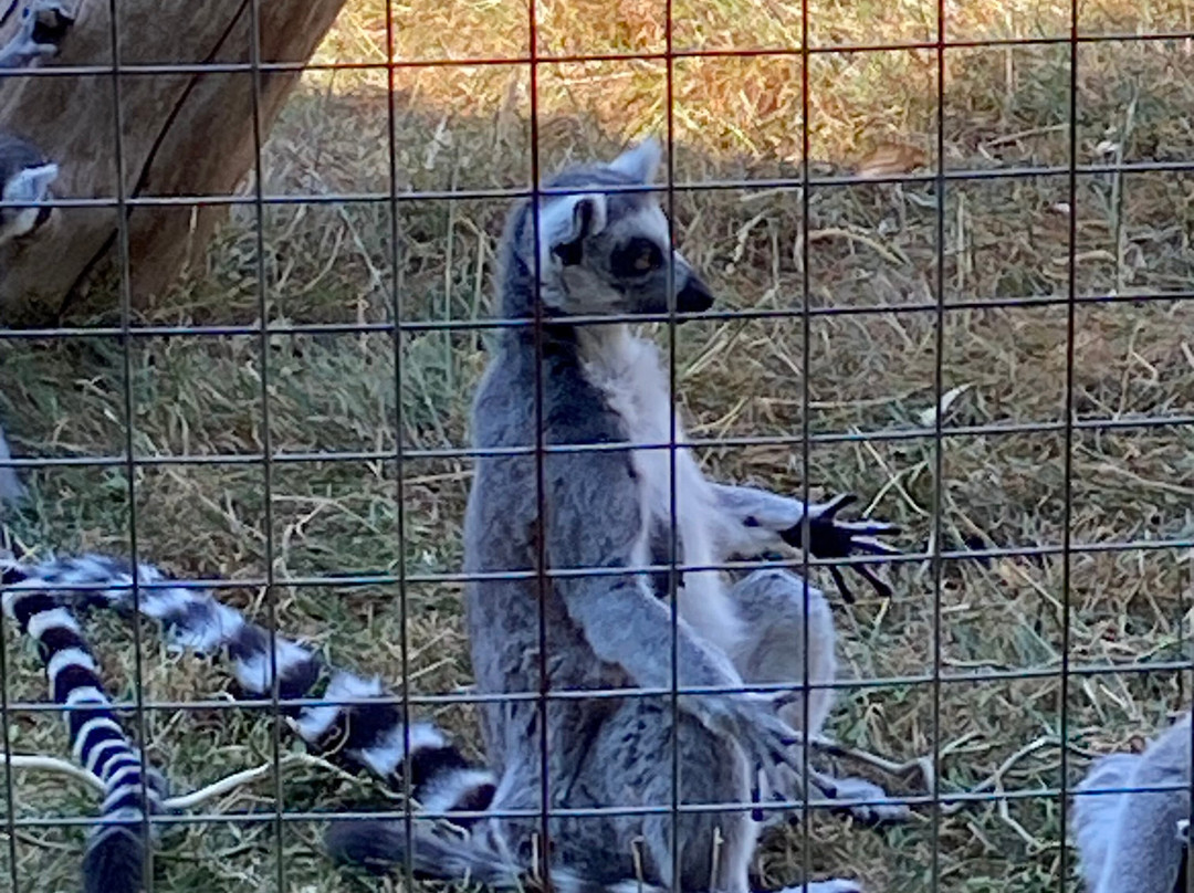 Hamerton Zoo Park-Sawtry必去景点