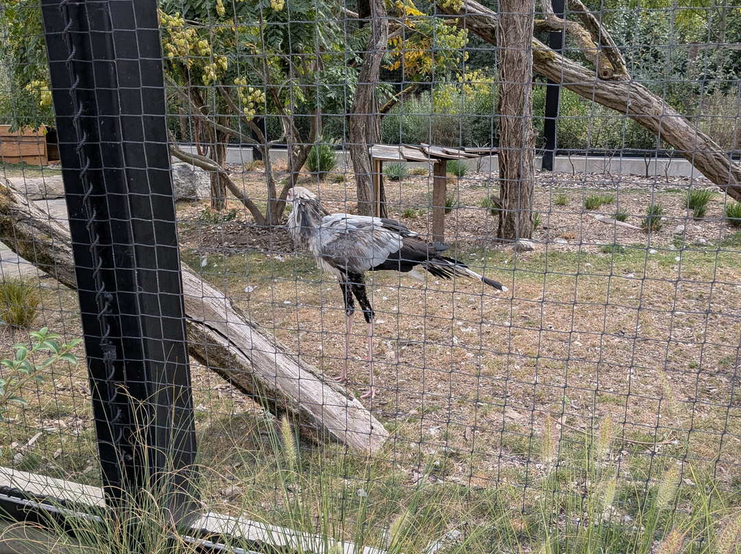 Zoo d'Amiens-亚眠必去景点