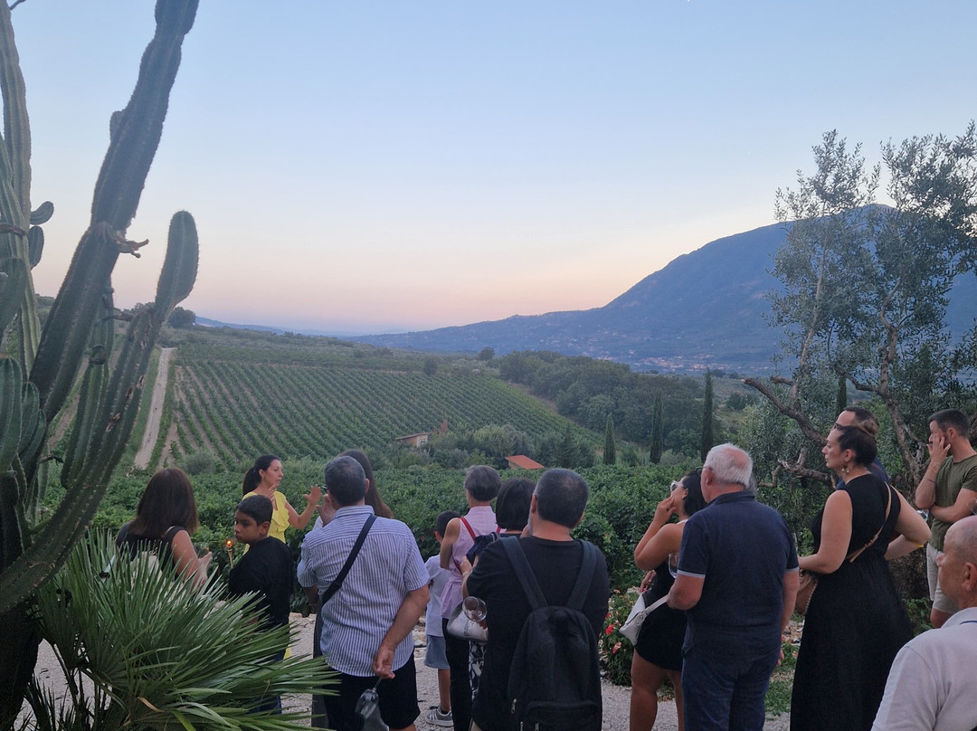 Sapentia Wine - L'Eredità del Vino-Guardia Sanframondi必去景点