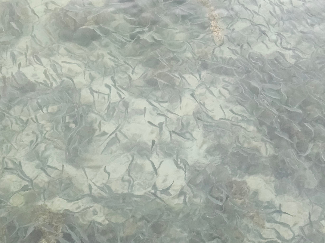 弗利康弗拉克海滩-弗力克昂弗雷克必去景点