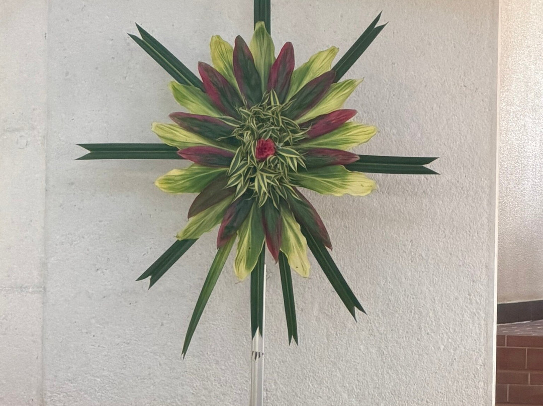 Baha'i House of Worship Samoa-阿皮亚必去景点