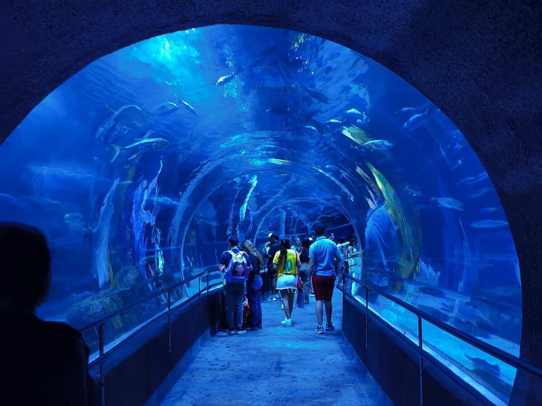 AquaRio-里约热内卢必去景点