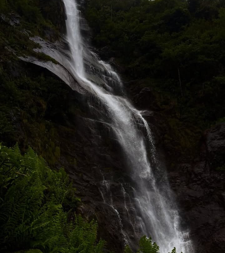 Tshering And Driver's Tour And Travels-甘托克必去景点