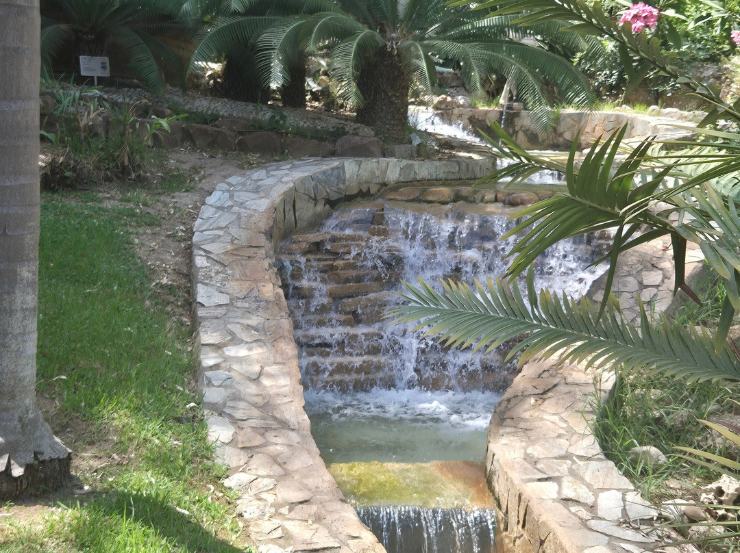 Jardin Botanico Molino de Inca-托雷莫里诺斯必去景点