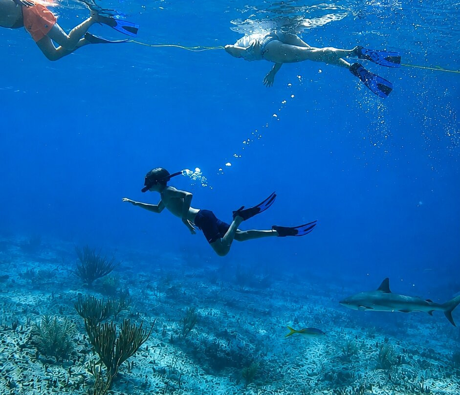 Bimini Splash-Bailey Town必去景点