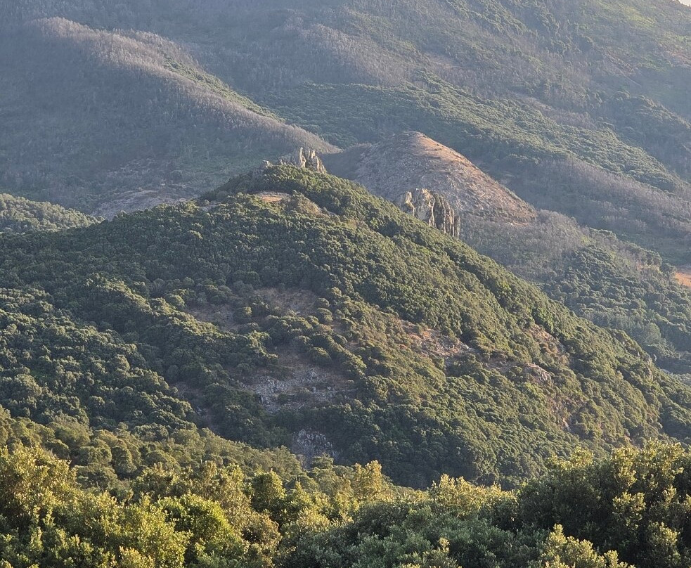 Cuglieri-Cuglieri必去景点