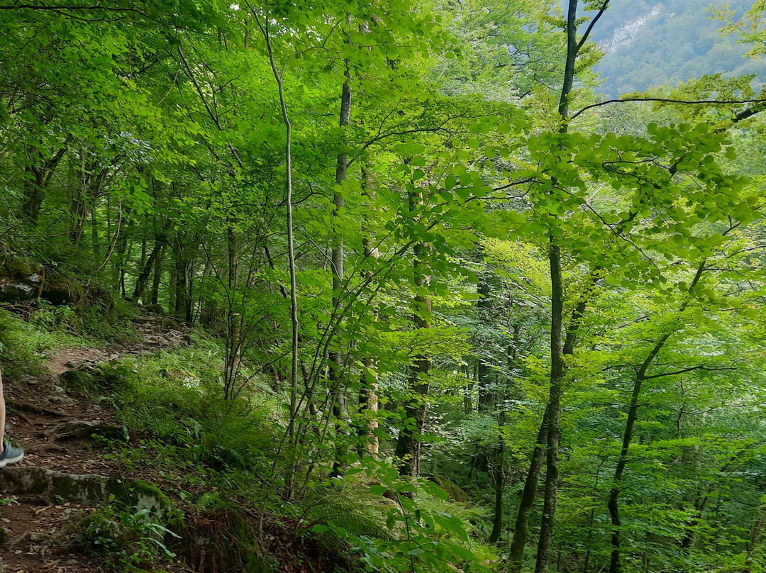Source de la Bidouze-Saint-Just-Ibarre必去景点