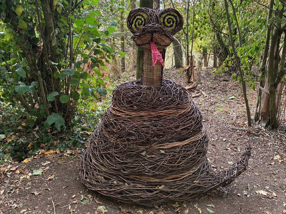 Coates English Willow Visitor Centre-汤顿必去景点