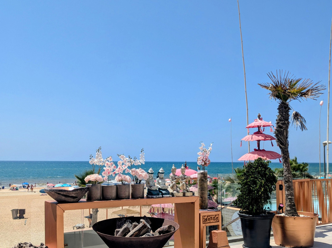 海滨酒店 - 限成人主图