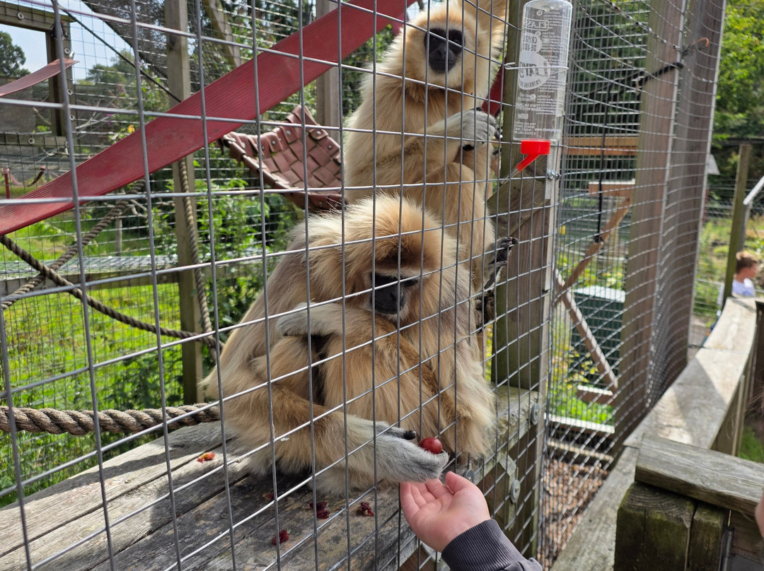 Camperdown Wildlife Centre-敦提必去景点