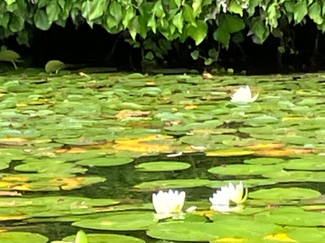Paddle’n’Go-维多利亚必去景点