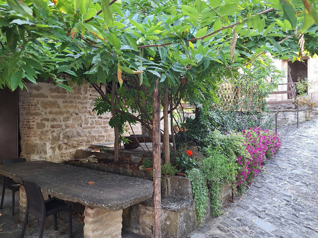 Agriturismo Marzanella主图