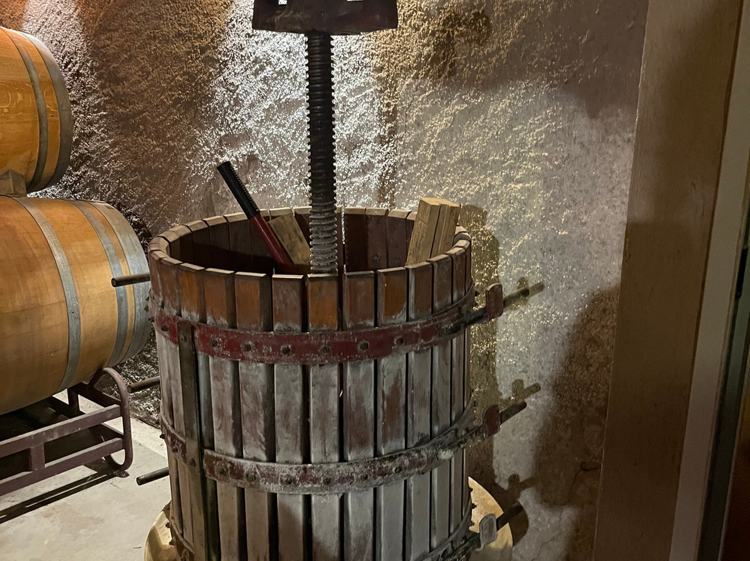 Celler Devinssi-Gratallops必去景点