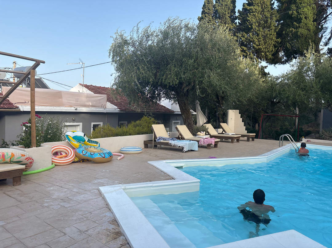 Olive Grove Poolside Apartments主图