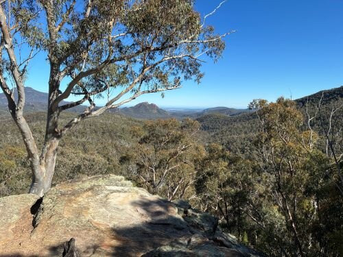 Whitegum Lookout-Coonabarabran必去景点
