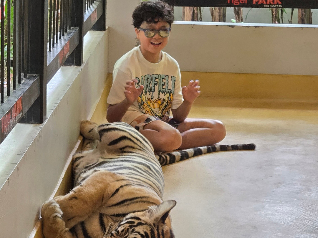 Tiger PARK Phuket-查龙必去景点