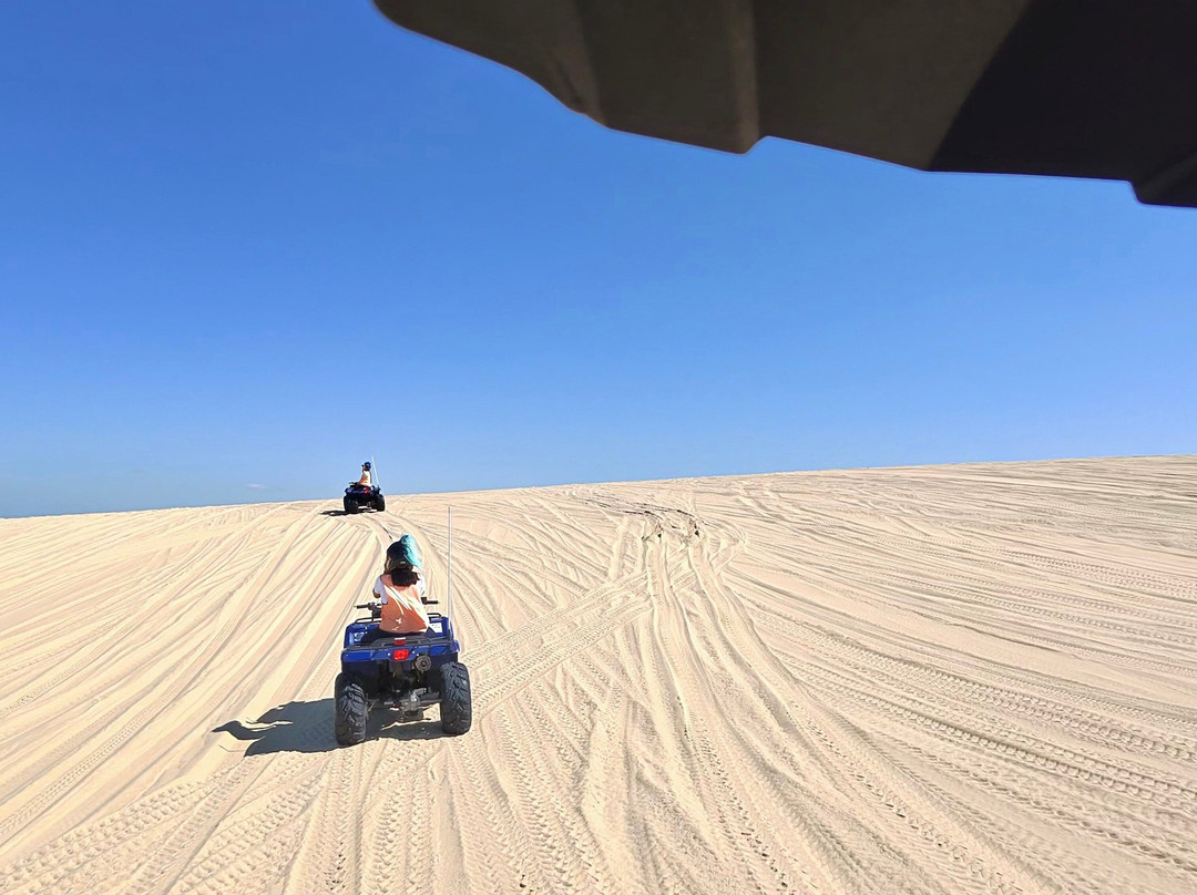 Quad Bike King-威廉斯顿必去景点