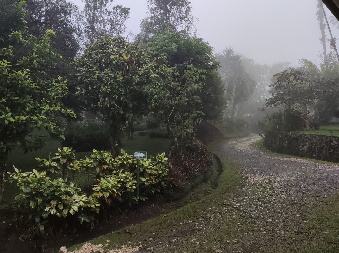 Las Cruces Biological Station and Wilson Botanical Garden-San Vito必去景点