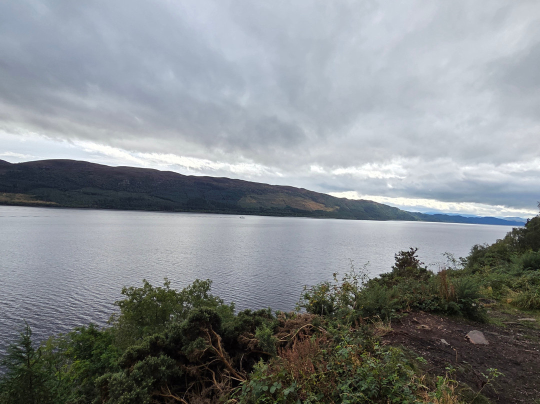 Loch Ness Highland Cows-德拉姆纳德罗希特必去景点
