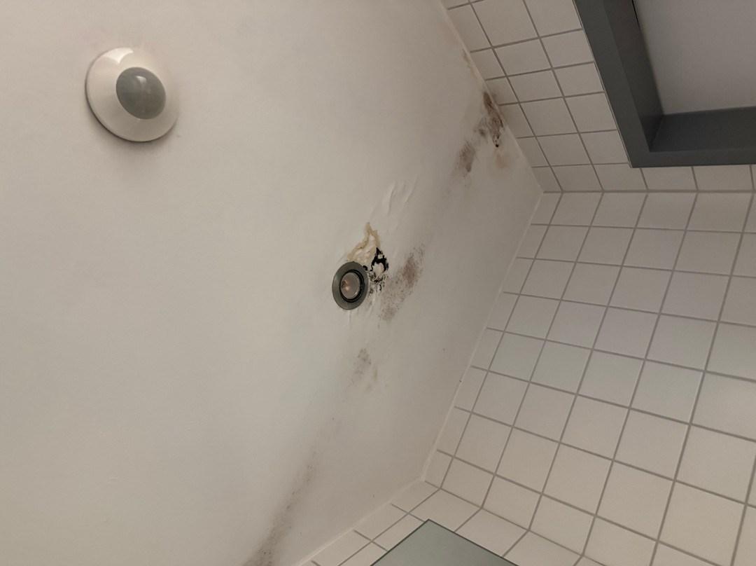 阿尔班霍夫环形酒店主图