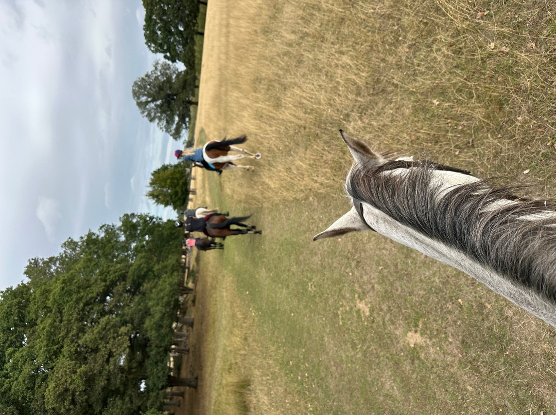 Wayside Stables-Fifield必去景点