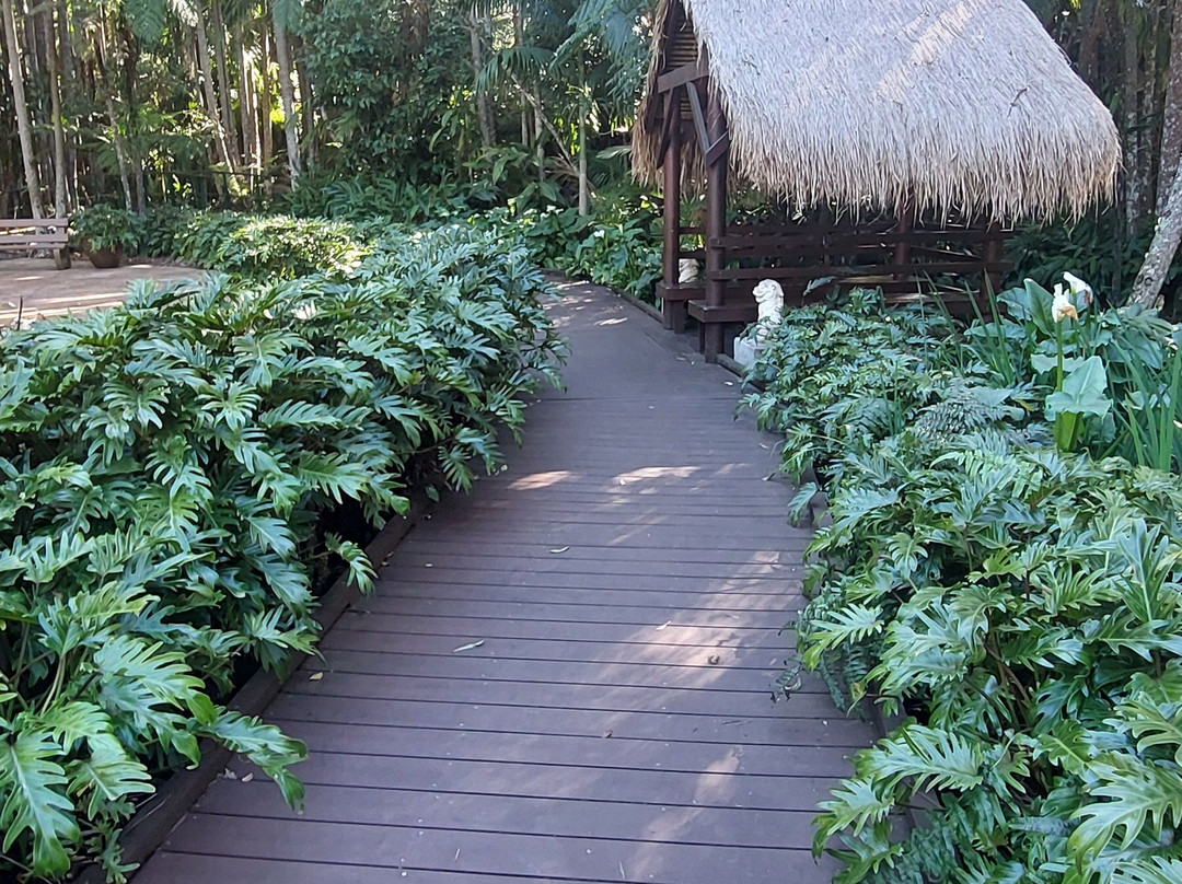 Tamborine Mountain Botanic Gardens-丹百林山必去景点