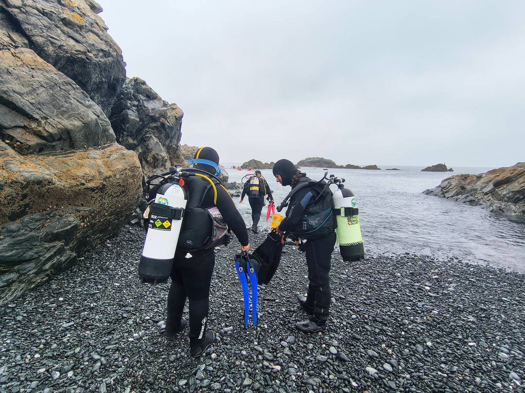 Porthkerris Divers-St Keverne必去景点