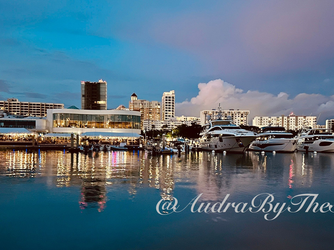 Bayfront Park-萨拉索塔必去景点