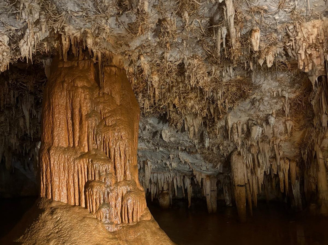 Cueva De Pozalagua-Valle de Carranza必去景点