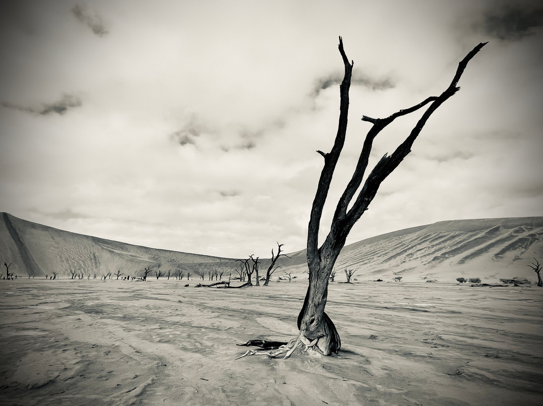 Namib Desert-苏丝斯黎必去景点