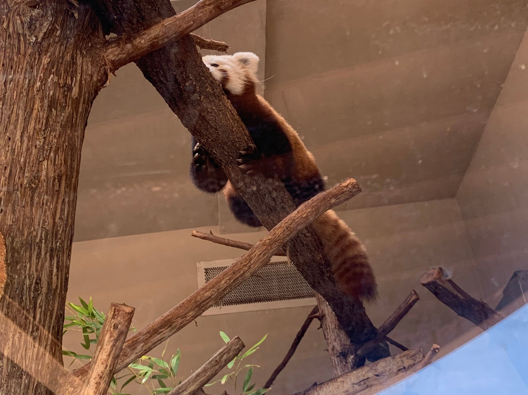 Oklahoma City Zoo and Botanical Garden-俄克拉何马城必去景点