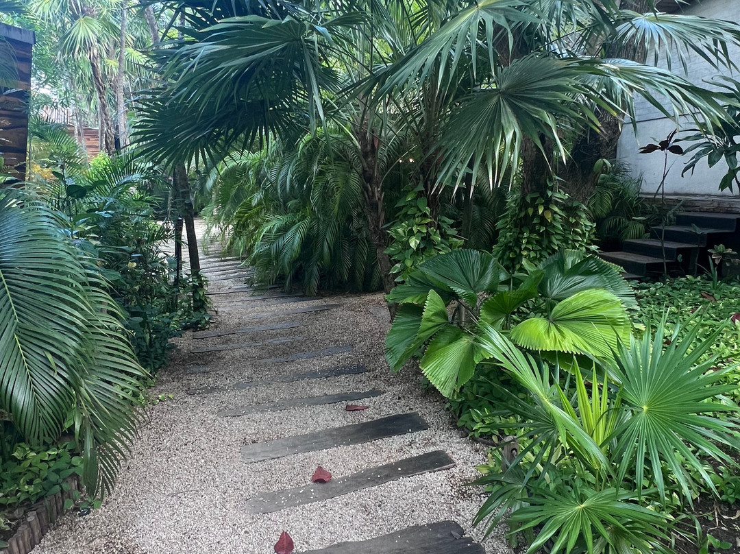 Yäan Healing Sanctuary-图伦必去景点