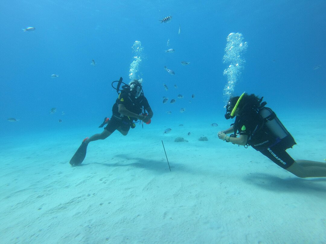 Soul Scuba Divers-Kri Island必去景点
