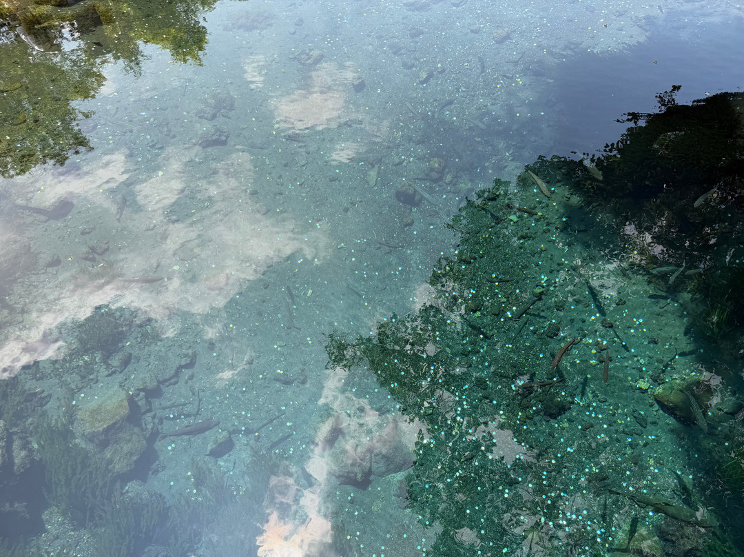 Waku Pond-忍野村必去景点