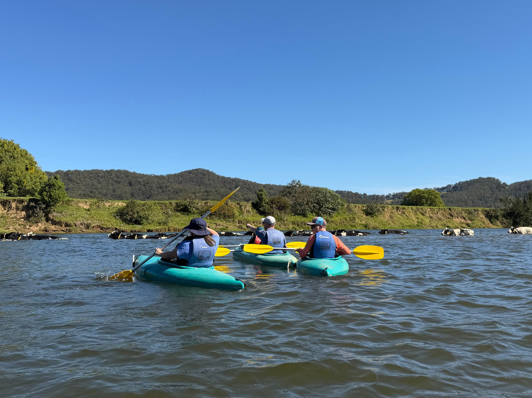 Bellingen Canoe Adventures-贝林真必去景点
