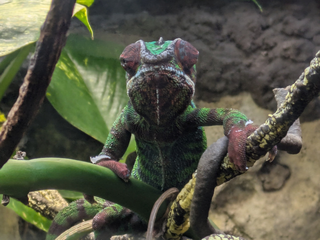 田纳西水族馆-查塔努加必去景点